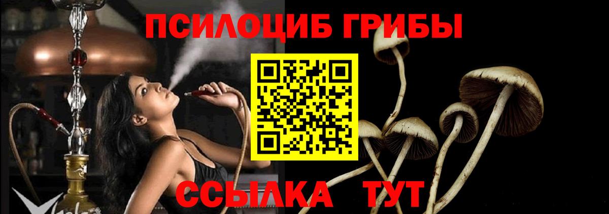 Алейск  Псилоцибиновые грибы Cubensis  Псилоцибиновые грибы Psilocybe  Вход с VPN 